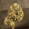 Apple Pop Tartz - Image 2