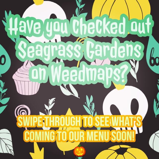 Our sun kissed smorgasbord’s arriving soon!🔥🌿 the #punchfarmer #whitewidow finished so frosty ⛄️ all of the blueberry muffin swelled right up! #swoleisthegoal #sizeistheprize check these and many more out on weedmaps and our new website launching this week!! SEAGRASSGARDENS.com #stayfrosty @houseandgardennutrients #pug
#caregiver #ᴛʜᴄ #cannabis #maine #craftcannabis
#delivery #smokelocal #fallharvest @littlewolfcultivation #smellyfox NOTHING FOR SALE ON IG